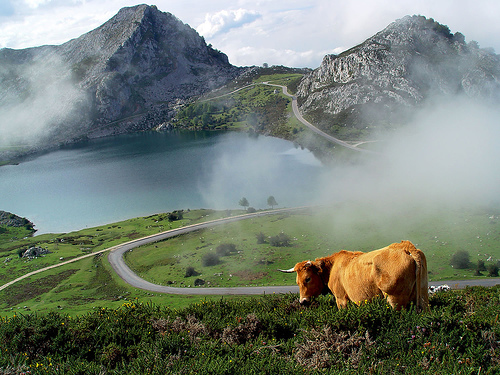 covadonga